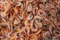 Larger version of Shrimps for sale at the market in Manaus.