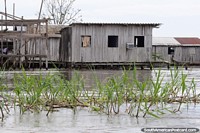 A community of wooden houses built over the water in the wetlands in Manaus.