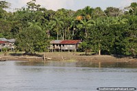 Enjoy views of the Amazon from the ferry that travels up and down the Amazon River. Brazil, South America.