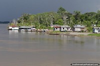 Simple houses on the edge of the Amazon river with dense jungle behind. Brazil, South America.
