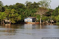 Neighborhood of jungle houses with wooden planks at the front, the Amazon. Brazil, South America.