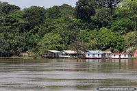 Group of houses on the waters edge of the Amazon River. Brazil, South America.