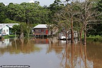 River waters higher than normal with grasslands turned to wetlands in the Amazon.