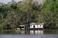 Vivir en paz en la naturaleza en una casa en el ro Amazonas. Brasil, Sudamerica.