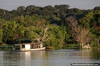 Boat in front of the vast green Amazon jungle. Brazil, South America.