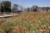 Brazil Photo - Buriti Plaza (1957), flower gardens and fountains, Brasilia.