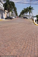 Cobblestone and palm tree lined street in Corumba. Brazil, South America.