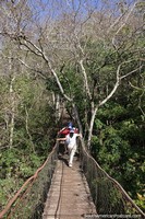 Wooden walking bridge in the forest to Sao Mateus Caves in Bonito.