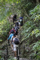 Group day tour at Boca da Onca, a forest trail to see waterfalls in Bonito.
