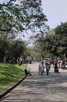 O parque mais visitado da Amrica do Sul - Parque Ibirapuera em So Paulo. Brasil, Amrica do Sul.