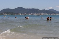 Versin ms grande de Playa Ponta das Canas en el extremo norte de Florianpolis.