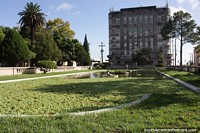 Versin ms grande de Zona verde acuosa con hojas de lirio en la Plaza Xavier Ferreira en Rio Grande.