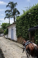 Colonial streets mixed with a tropical backdrop in Paraty.