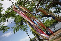 Colorful ribbons blow in the wind under trees at the seaside in Paraty.