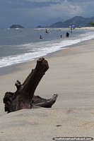 Driftwood at the beach and the green hilly coastline in Mambucaba.