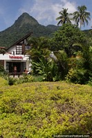 Montaa y selva tropical en Isla Grande, vista desde Abrao.