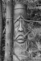 Talha em madeira e escultura de rosto em tronco na Ilha Grande.