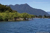 Beach area on the point with trees at the lake in Pucon.