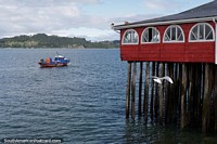 Read more about Castro