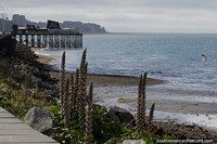 Seafront with beach and restaurant upon the pier in Puerto Montt.