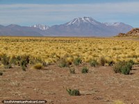 Las montañas cubiertas de nieve aparecen cuando viajamos en el desierto de San Pedro de Atacama. Chile, Sudamerica.
