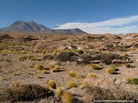 Versão maior do Um terreno colorido de rocha e arbustos no deserto de San Pedro de Atacama.