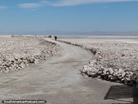 Chegamos a Lagoa Chaxa, o caminho pelo terreno de sal coberto de crosta em San Pedro de Atacama. Chile, América do Sul.