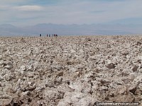 Um passeio de grupo o caminho por um sal coberto de crosta emerge na Lagoa Chaxa, San Pedro de Atacama. Chile, América do Sul.