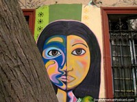 Versión más grande de Niña con mitad de la cara coloreada, pintura mural en la pared detrás de un árbol en Barrio Brasil, Santiago.