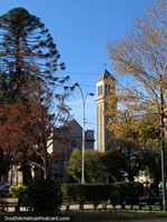 Versión más grande de Parque, iglesia y altos árboles en Valparaíso.
