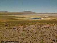 Salty plains and a small lagoon between Paso de Jama and San Pedro. Chile, South America.