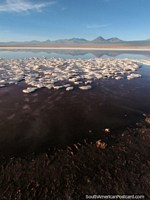 La ltima laguna del da para mirar la puesta del sol y comer bocados y beber, San Pedro de Atacama. Chile, Sudamerica.