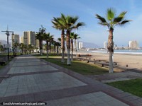 Walking along the path behind beach Playa Cavancha in the morning, there's still shade, Iquique. Chile, South America.