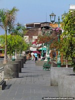 Flowers, trees and lamps, a nice footpath and walking area in Iquique. Chile, South America.