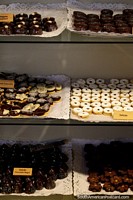 Uma variedade de biscoitos e o bolo assado em forminha de Vulcão de chocolate preto em Cafe da P em Pucon. Chile, América do Sul.