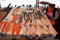 Versión más grande de Una mujer que vende pescado fresco, incluido el salmón en Feria Fluvial junto al río en Valdivia.