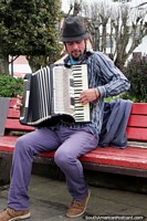 O homem com um chapéu toca um acordeão na praça pública em Porto Montt. Chile, América do Sul.