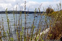 Lago Llanquihue, tranquilo y pacífico en invierno, popular en los meses de verano, Puerto Varas. Chile, Sudamerica.
