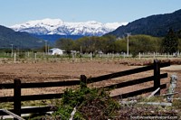 Cercas y tierras de cultivo, montañas y nieve, entre la frontera de Argentina y Futaleufú. Chile, Sudamerica.