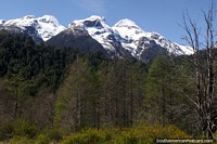 Floresta e montanhas cobertas de neve em volta de casa de campo Santa Lucia no sul de caminho de Futaleufu. Chile, América do Sul.