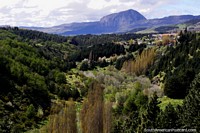 Rio Simpson National Reserve in Coyhaique, known for flora, fauna and fly fishing on the river!