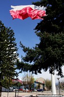 Bandera Chilena que vuela alto en el viento en la Plaza Mirador Rio Coyhaique en Coyhaique. Chile, Sudamerica.