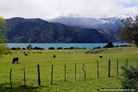 Lago Carrera Geral e pastagens verdes em volta de Porto Rio Tranquilo. Chile, América do Sul.