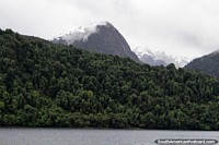 Forests of the fjords and snow-capped mountains between Puerto Cisnes and Puerto Gala. Chile, South America.