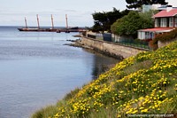 Larger version of A distant shipwreck and yellow daisies on the banks of the water in Punta Arenas.