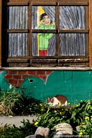 Chile Photo - Man looks out a window, a cat outside, street art in Punta Arenas.