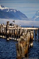 Versão maior do O velho pilar de ponte, águas e montanhas cobertas de neve em Porto Natales.