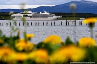 Porto Natales, um navio de cruzeiro, o velho cais e flores amarelas. Chile, América do Sul.