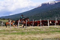 Gauchos (Baqueanos) herding their cattle on horseback around Villa Cerro Castillo. Chile, South America.
