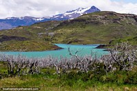 Lake Pehoe coming into view, dead tree branches and distant hills at Torres del Paine. Chile, South America.